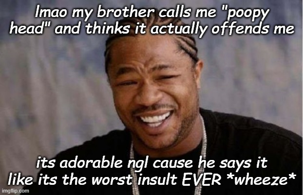 Yo Dawg Heard You | lmao my brother calls me "poopy head" and thinks it actually offends me; its adorable ngl cause he says it like its the worst insult EVER *wheeze* | image tagged in memes,yo dawg heard you | made w/ Imgflip meme maker