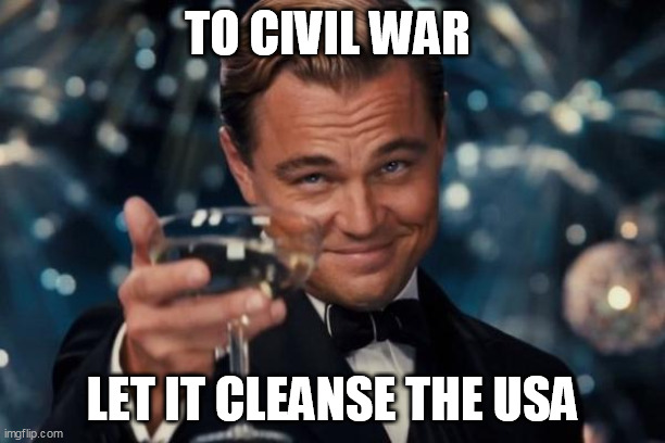 Leonardo Dicaprio Cheers Meme | TO CIVIL WAR; LET IT CLEANSE THE USA | image tagged in memes,leonardo dicaprio cheers | made w/ Imgflip meme maker