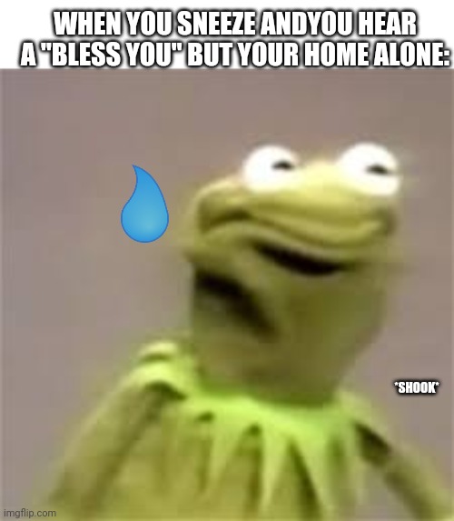 Shook kermit | WHEN YOU SNEEZE ANDYOU HEAR A "BLESS YOU" BUT YOUR HOME ALONE:; *SHOOK* | image tagged in confused kermit,custom template | made w/ Imgflip meme maker