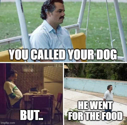 Sad Pablo Escobar | YOU CALLED YOUR DOG; BUT.. HE WENT FOR THE FOOD | image tagged in memes,sad pablo escobar | made w/ Imgflip meme maker