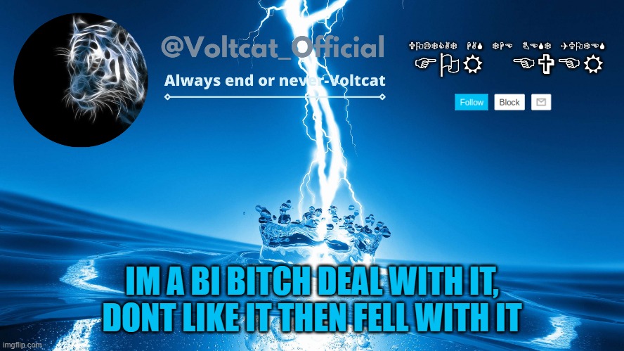 I just came up with this f u c k | IM A BI BITCH DEAL WITH IT, DONT LIKE IT THEN FELL WITH IT | image tagged in voltcat new template | made w/ Imgflip meme maker