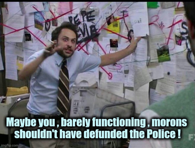 Trying to explain | Maybe you , barely functioning , morons 
shouldn't have defunded the Police ! | image tagged in trying to explain | made w/ Imgflip meme maker