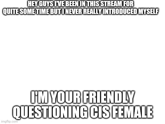 Blank White Template | HEY GUYS I'VE BEEN IN THIS STREAM FOR QUITE SOME TIME BUT I NEVER REALLY INTRODUCED MYSELF; I'M YOUR FRIENDLY QUESTIONING CIS FEMALE | image tagged in blank white template,fun,lgbtq,lgbt,memes,meme | made w/ Imgflip meme maker