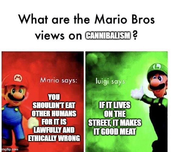 Mario Bros Views | CANNIBALISM; YOU SHOULDN'T EAT OTHER HUMANS FOR IT IS LAWFULLY AND ETHICALLY WRONG; IF IT LIVES ON THE STREET, IT MAKES IT GOOD MEAT | image tagged in mario bros views | made w/ Imgflip meme maker