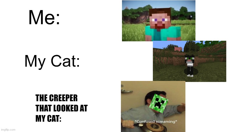 I still wonder why creepers still hate cats... | image tagged in confused screaming,minecraft,creeper,cat | made w/ Imgflip meme maker