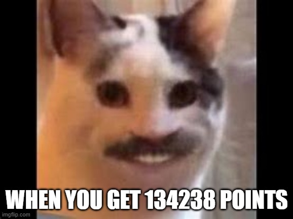 Hitler Cat | WHEN YOU GET 134238 POINTS | image tagged in hitler cat | made w/ Imgflip meme maker