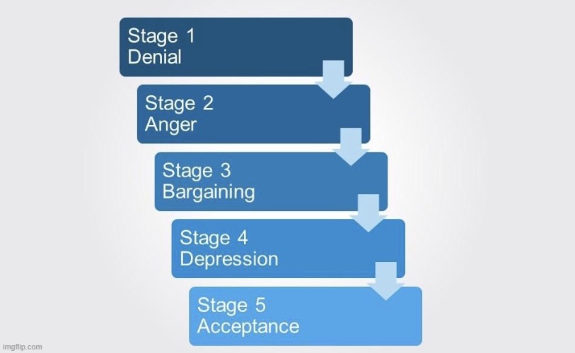 5 stages of grief | image tagged in 5 stages of grief | made w/ Imgflip meme maker