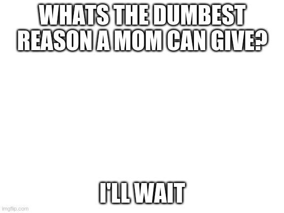 Blank White Template | WHATS THE DUMBEST REASON A MOM CAN GIVE? I'LL WAIT | image tagged in blank white template | made w/ Imgflip meme maker