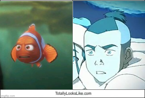 Marlin looks like Sokka | image tagged in totally looks like,finding nemo,sokka,avatar the last airbender,fish,pixar | made w/ Imgflip meme maker