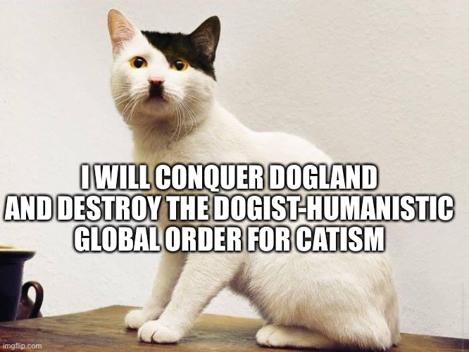 Fur-er Furdolf Catler | I WILL CONQUER DOGLAND AND DESTROY THE DOGIST-HUMANISTIC GLOBAL ORDER FOR CATISM | image tagged in cat,hitler | made w/ Imgflip meme maker