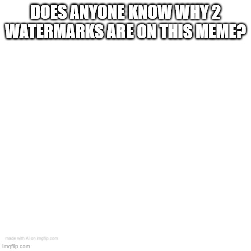 Blank Transparent Square Meme | DOES ANYONE KNOW WHY 2 WATERMARKS ARE ON THIS MEME? | image tagged in memes,blank transparent square | made w/ Imgflip meme maker