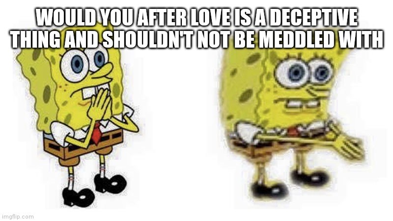 Spongebob Boi | WOULD YOU AFTER LOVE IS A DECEPTIVE THING AND SHOULDN'T NOT BE MEDDLED WITH | image tagged in spongebob boi | made w/ Imgflip meme maker