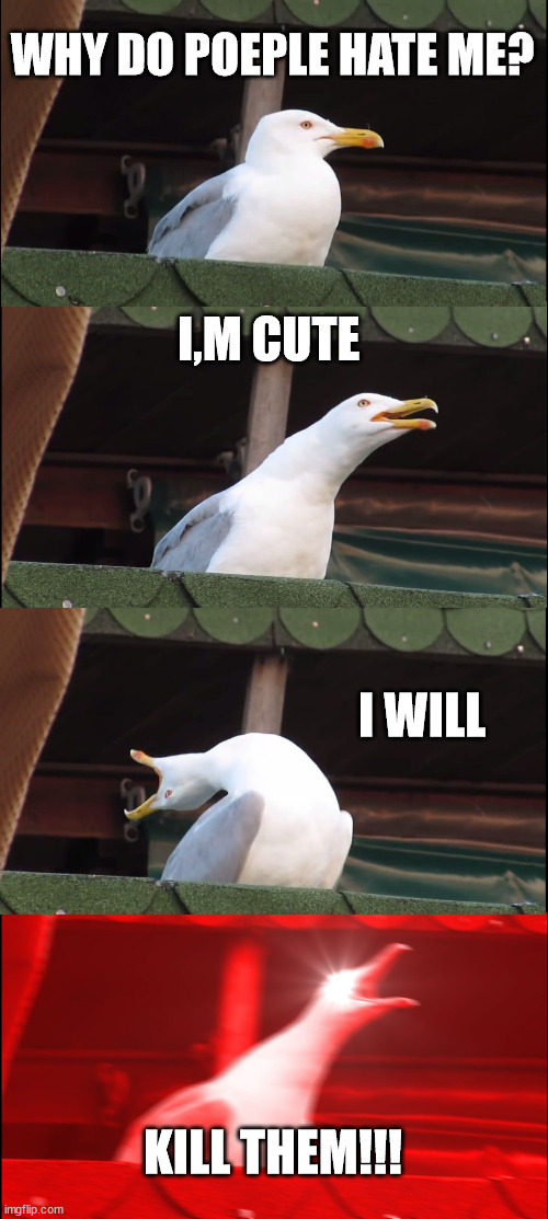 why do poeple hate me? | WHY DO POEPLE HATE ME? I,M CUTE; I WILL; KILL THEM!!! | image tagged in memes,inhaling seagull | made w/ Imgflip meme maker