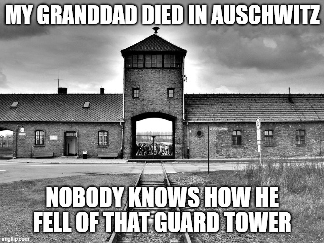 Nein Juden | MY GRANDDAD DIED IN AUSCHWITZ; NOBODY KNOWS HOW HE FELL OF THAT GUARD TOWER | image tagged in aushwitz | made w/ Imgflip meme maker