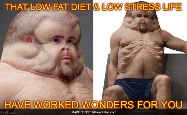 THAT LOW FAT DIET & LOW STRESS LIFE; HAVE WORKED WONDERS FOR YOU | image tagged in memes,funny | made w/ Imgflip meme maker