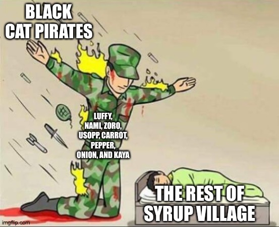 Soldier protecting sleeping child | BLACK CAT PIRATES; LUFFY, NAMI, ZORO, USOPP, CARROT, PEPPER, ONION, AND KAYA; THE REST OF SYRUP VILLAGE | image tagged in soldier protecting sleeping child | made w/ Imgflip meme maker