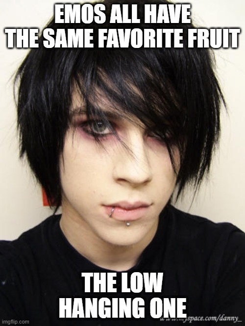 Favorite Fruit | EMOS ALL HAVE THE SAME FAVORITE FRUIT; THE LOW HANGING ONE | image tagged in emo kid | made w/ Imgflip meme maker