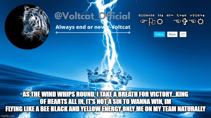 guesss the song | AS THE WIND WHIPS ROUND, I TAKE A BREATH FOR VICTORY...KING OF HEARTS ALL IN, IT'S NOT A SIN TO WANNA WIN, IM FLYING LIKE A BEE BLACK AND YELLOW ENERGY ONLY ME ON MY TEAM NATURALLY | image tagged in voltcat new template,flying like a bee is the song | made w/ Imgflip meme maker