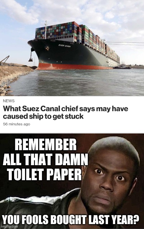 It had to end up somewhere | REMEMBER ALL THAT DAMN TOILET PAPER; YOU FOOLS BOUGHT LAST YEAR? | image tagged in memes,kevin hart,suez canal | made w/ Imgflip meme maker