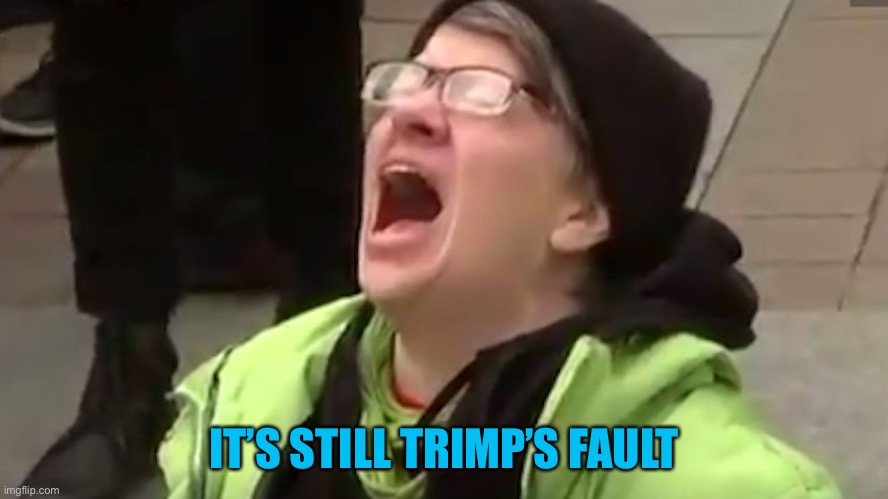 Screaming Liberal  | IT’S STILL TRIMP’S FAULT | image tagged in screaming liberal | made w/ Imgflip meme maker