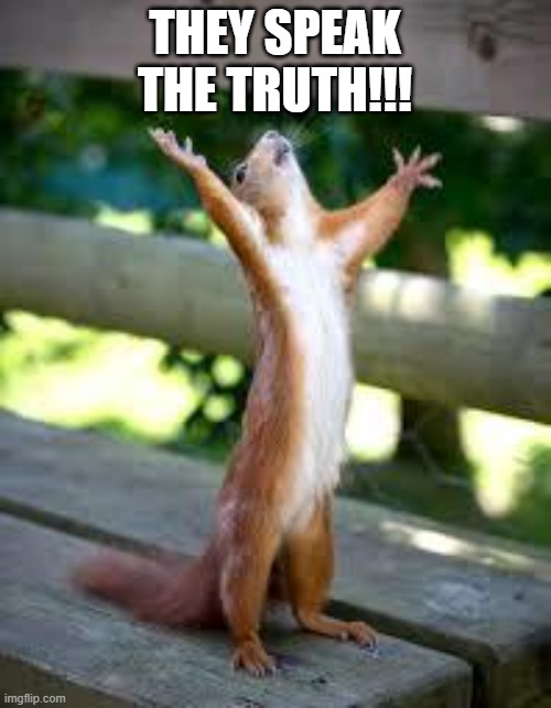 Praise Squirrel | THEY SPEAK THE TRUTH!!! | image tagged in praise squirrel | made w/ Imgflip meme maker