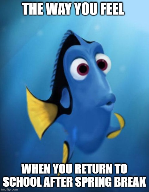 Dory | THE WAY YOU FEEL; WHEN YOU RETURN TO SCHOOL AFTER SPRING BREAK | image tagged in dory | made w/ Imgflip meme maker