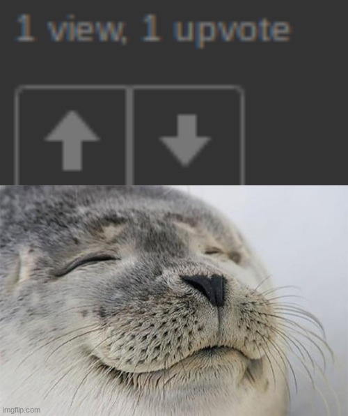 image tagged in memes,satisfied seal | made w/ Imgflip meme maker
