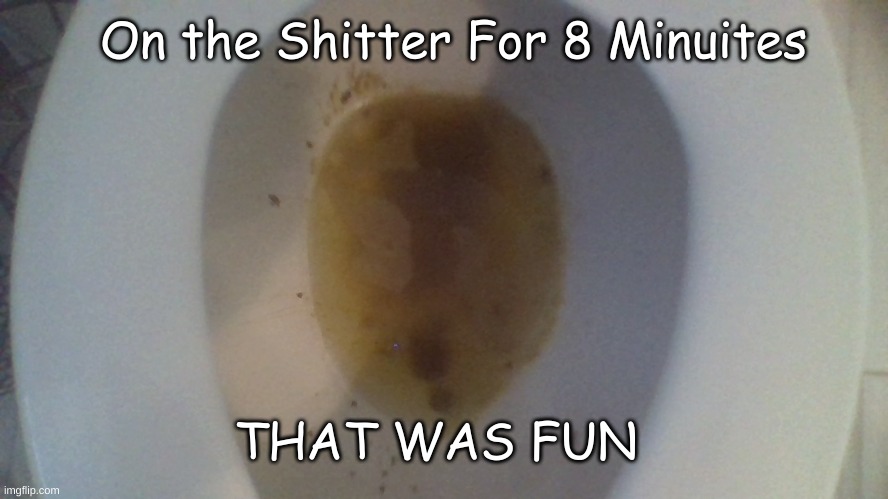 On the Shitter For 8 Minuites; THAT WAS FUN | made w/ Imgflip meme maker