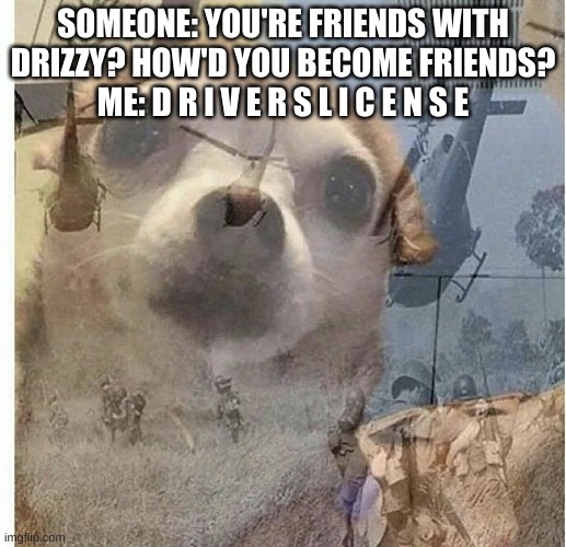 *Cries in the dude wanted to cut my pp off so he could put his in ;-;* | SOMEONE: YOU'RE FRIENDS WITH DRIZZY? HOW'D YOU BECOME FRIENDS?
ME: D R I V E R S L I C E N S E | image tagged in ptsd chihuahua | made w/ Imgflip meme maker