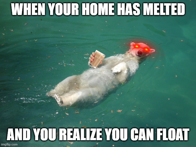 polar bear | WHEN YOUR HOME HAS MELTED; AND YOU REALIZE YOU CAN FLOAT | image tagged in just chillin',chillin,polar bear | made w/ Imgflip meme maker