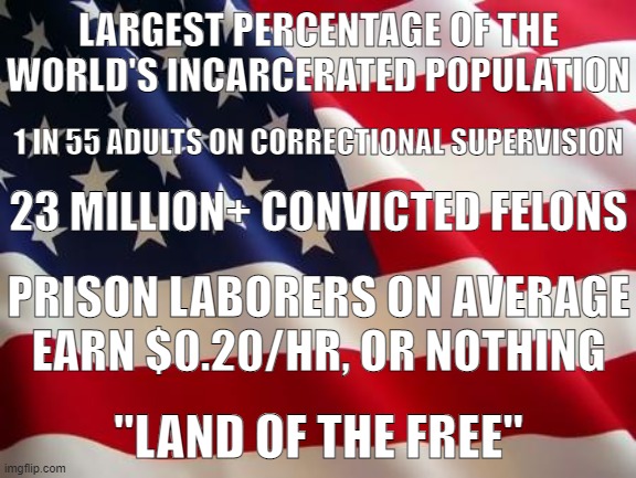 This country is garbage. | LARGEST PERCENTAGE OF THE WORLD'S INCARCERATED POPULATION; 1 IN 55 ADULTS ON CORRECTIONAL SUPERVISION; 23 MILLION+ CONVICTED FELONS; PRISON LABORERS ON AVERAGE EARN $0.20/HR, OR NOTHING; "LAND OF THE FREE" | image tagged in american flag,prison,prisoners,mass incarceration,criminals,united states | made w/ Imgflip meme maker