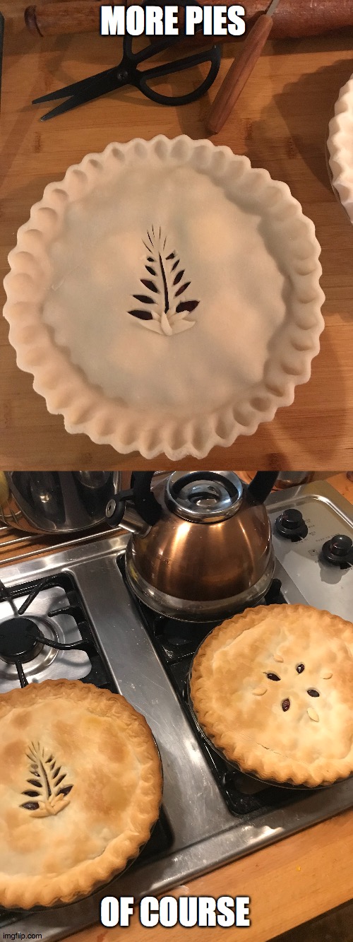 "Help, I accidentally made another pie!" - The Hopeless Piemaker | MORE PIES; OF COURSE | image tagged in needs more cowbell | made w/ Imgflip meme maker