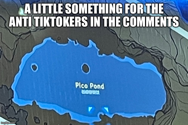 Pico pond | A LITTLE SOMETHING FOR THE ANTI TIKTOKERS IN THE COMMENTS | image tagged in pico pond | made w/ Imgflip meme maker