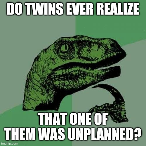 Twin struggles (I'm not a twin btw) | DO TWINS EVER REALIZE; THAT ONE OF THEM WAS UNPLANNED? | image tagged in memes,philosoraptor | made w/ Imgflip meme maker