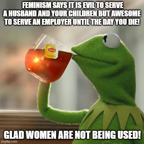 FEMINISM IS A LIE | FEMINISM SAYS IT IS EVIL TO SERVE A HUSBAND AND YOUR CHILDREN BUT AWESOME TO SERVE AN EMPLOYER UNTIL THE DAY YOU DIE! GLAD WOMEN ARE NOT BEING USED! | image tagged in feminism,feminist,democrats,republicans,politics | made w/ Imgflip meme maker