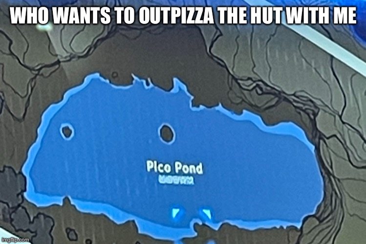 Pico pond | WHO WANTS TO OUTPIZZA THE HUT WITH ME | image tagged in pico pond | made w/ Imgflip meme maker