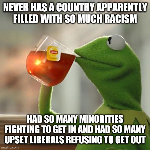But That's None Of My Business Meme | NEVER HAS A COUNTRY APPARENTLY FILLED WITH SO MUCH RACISM; HAD SO MANY MINORITIES FIGHTING TO GET IN AND HAD SO MANY UPSET LIBERALS REFUSING TO GET OUT | image tagged in memes,but that's none of my business,kermit the frog | made w/ Imgflip meme maker