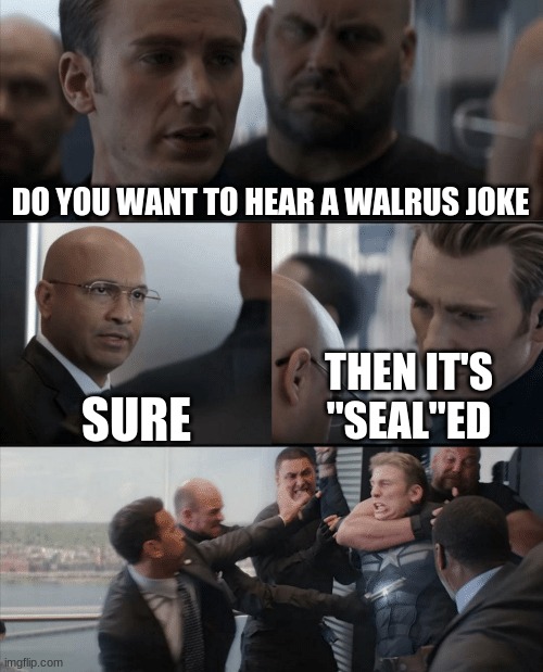 lol | DO YOU WANT TO HEAR A WALRUS JOKE; SURE; THEN IT'S "SEAL"ED | image tagged in captain america elevator fight | made w/ Imgflip meme maker