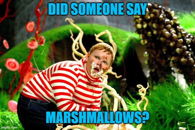 Augustus Gloop | DID SOMEONE SAY MARSHMALLOWS? | image tagged in augustus gloop | made w/ Imgflip meme maker