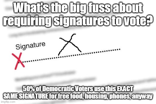 Signature Issue | What's the big fuss about requiring signatures to vote? 50% of Democratic Voters use this EXACT SAME SIGNATURE for free food, housing, phones, anyway | image tagged in memes | made w/ Imgflip meme maker