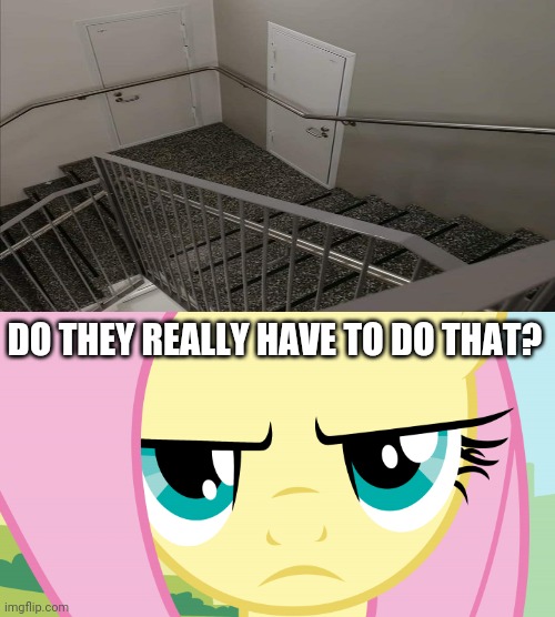 Not this again! | DO THEY REALLY HAVE TO DO THAT? | image tagged in fluttershy not amused mlp,funny,you had one job,blocked,door,memes | made w/ Imgflip meme maker