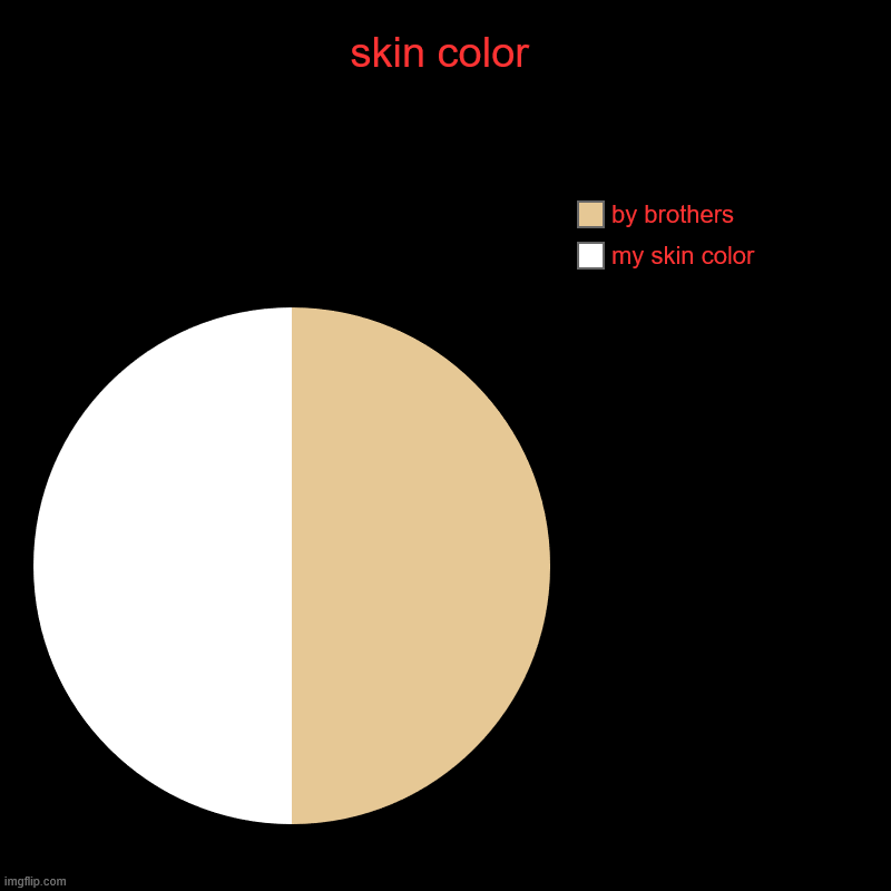 skin color | my skin color, by brothers | image tagged in charts,pie charts | made w/ Imgflip chart maker