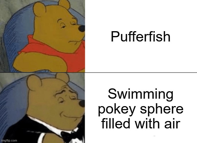 Tuxedo Winnie The Pooh | Pufferfish; Swimming pokey sphere filled with air | image tagged in memes,tuxedo winnie the pooh | made w/ Imgflip meme maker