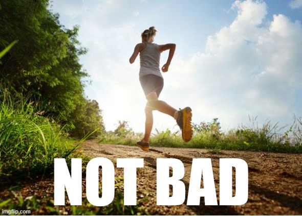 runner | NOT BAD | image tagged in runner | made w/ Imgflip meme maker