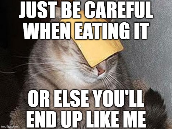 Cats with cheese | JUST BE CAREFUL WHEN EATING IT OR ELSE YOU'LL END UP LIKE ME | image tagged in cats with cheese | made w/ Imgflip meme maker