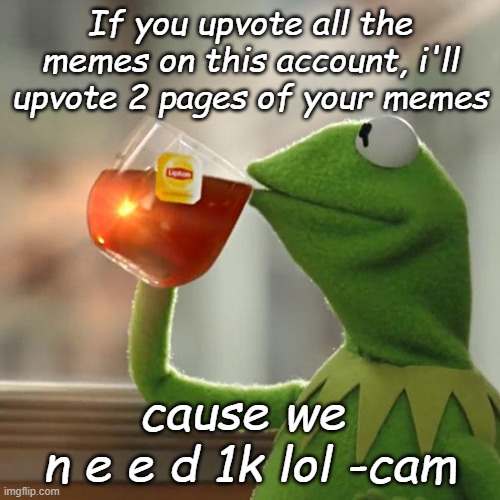 But That's None Of My Business | If you upvote all the memes on this account, i'll upvote 2 pages of your memes; cause we 
n e e d 1k lol -cam | image tagged in memes,but that's none of my business,kermit the frog | made w/ Imgflip meme maker