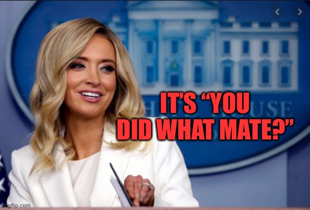 Kayleigh McEnany | IT’S “YOU DID WHAT MATE?” | image tagged in kayleigh mcenany | made w/ Imgflip meme maker
