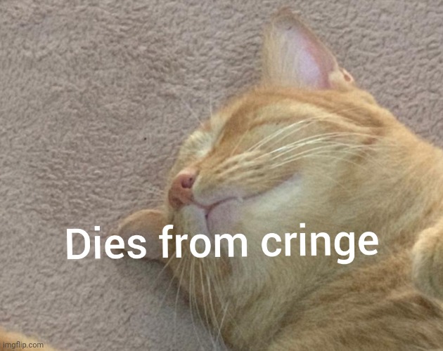 Cat dies from cringe | image tagged in cat dies from cringe | made w/ Imgflip meme maker