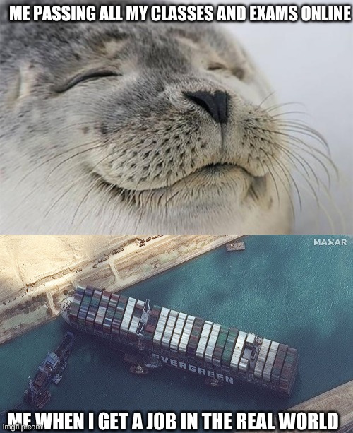 real world | ME PASSING ALL MY CLASSES AND EXAMS ONLINE; ME WHEN I GET A JOB IN THE REAL WORLD | image tagged in memes,satisfied seal,suez canal stuck,education,exam,job | made w/ Imgflip meme maker