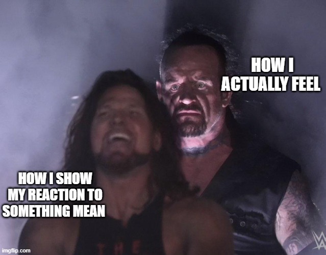 theres more to it then meets the eye | HOW I ACTUALLY FEEL; HOW I SHOW MY REACTION TO SOMETHING MEAN | image tagged in undertaker,how i feel,double d facts book | made w/ Imgflip meme maker